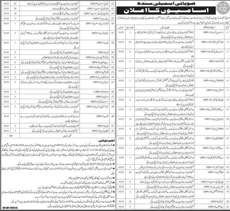 Sindh assembly jobs 2025
